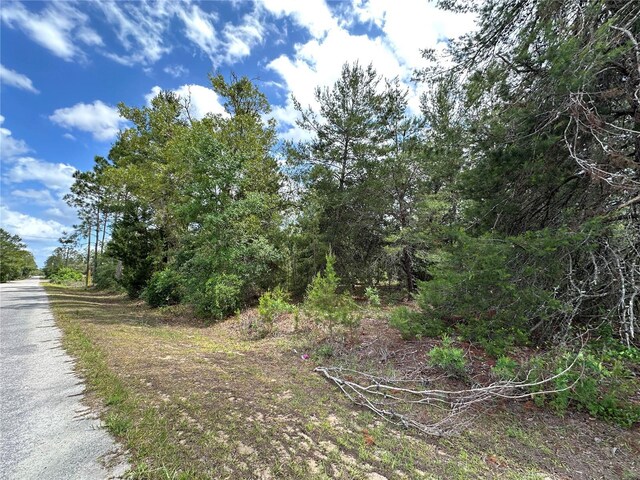 TBD Malauka Lane, Ocklawaha, FL 32179