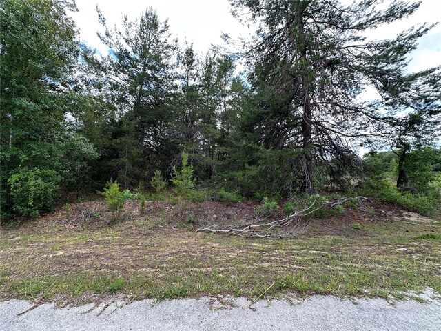 TBD Malauka Lane, Ocklawaha, FL 32179