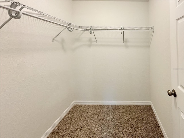 spacious closet featuring carpet floors