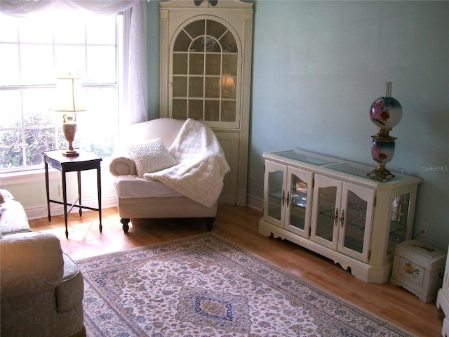 sitting room featuring wood finished floors