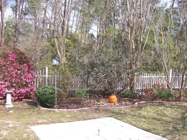 view of yard with a patio and fence