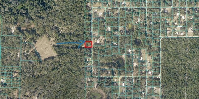 SE 185th Ct, Ocklawaha FL, 32179 land for sale