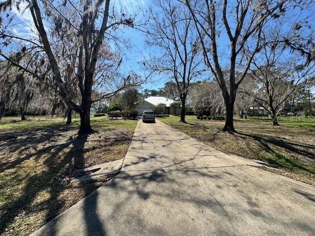 view of street featuring driveway