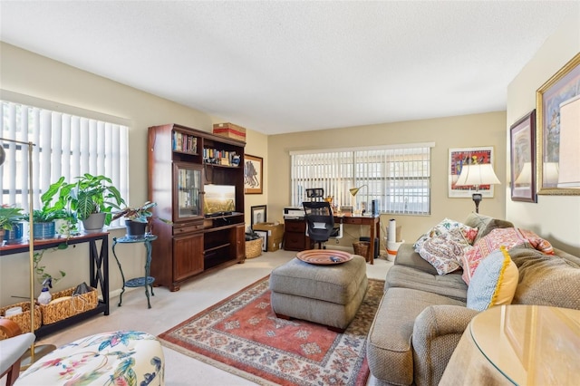 living area featuring light colored carpet and a textured ceiling