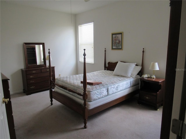 2459 NW 55th Avenue Rd, Ocala, FL 34482 - bedroom with light carpet