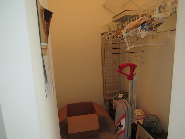 2459 NW 55th Avenue Rd, Ocala, FL 34482 - view of spacious closet