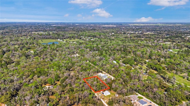 Listing photo 3 for TBD SE 41st Ter, Belleview FL 34420