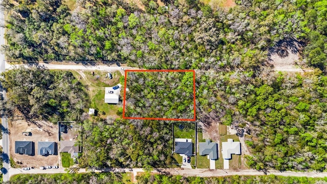 TBD SE 41st Ter, Belleview FL, 34420 land for sale