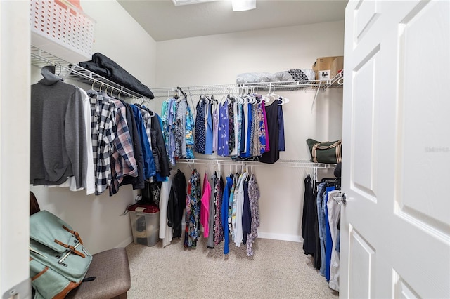 walk in closet with carpet flooring