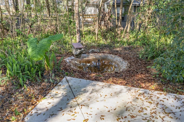 view of yard featuring a patio