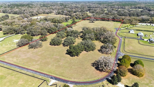 Listing photo 3 for TBD SW 104th Street Rd, Ocala FL 34476