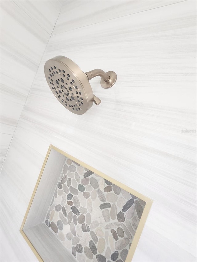 interior details with tiled shower