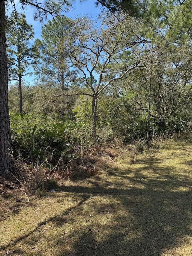 Kumquat Ave, Eustis FL, 32736 land for sale