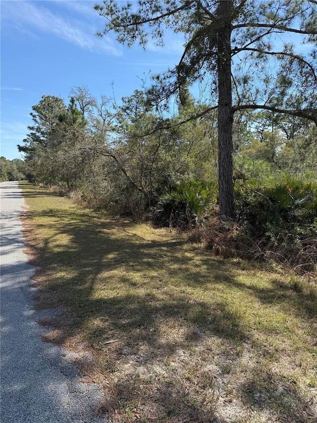 Listing photo 2 for Kumquat Ave, Eustis FL 32736