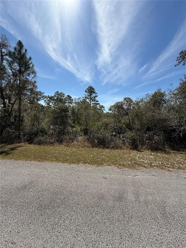 Listing photo 3 for Kumquat Ave, Eustis FL 32736