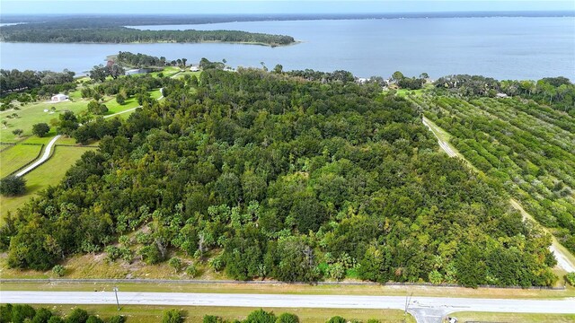 12115 SE Sunset Harbor Rd, Weirsdale, FL 32195