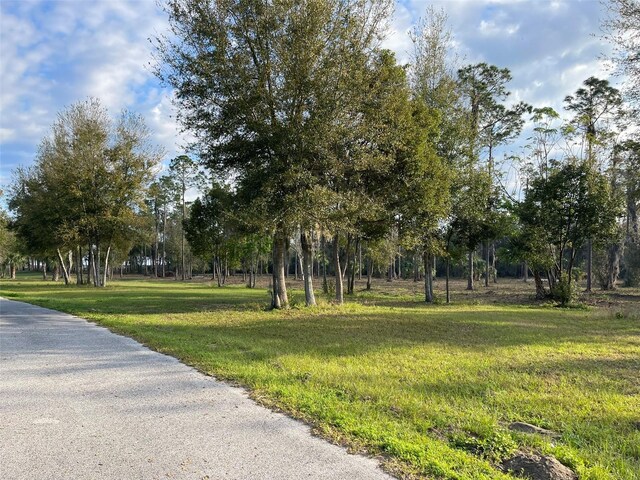 12115 SE Sunset Harbor Rd, Weirsdale, FL 32195