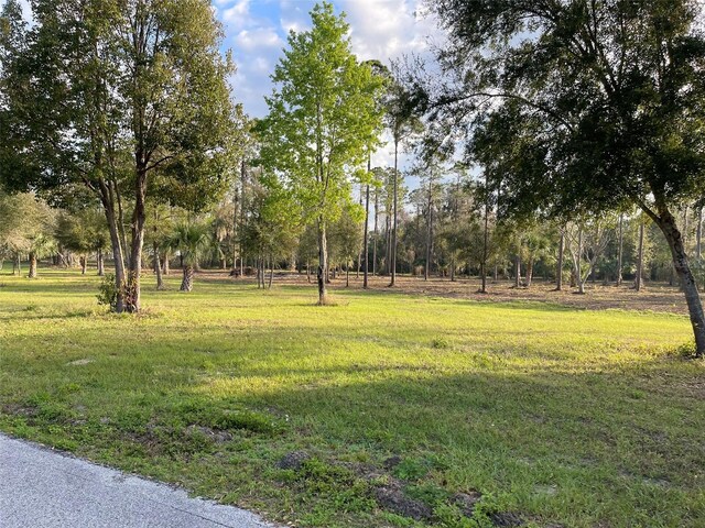 12115 SE Sunset Harbor Rd, Weirsdale, FL 32195