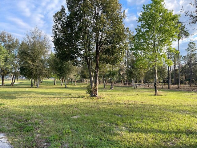 12115 SE Sunset Harbor Rd, Weirsdale, FL 32195