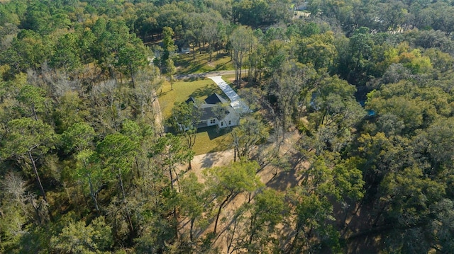 13751 SW 49th Pl, Ocala, FL 34481 - photo 24