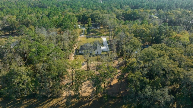 13751 SW 49th Pl, Ocala, FL 34481 - photo 26