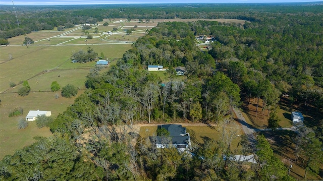 13751 SW 49th Pl, Ocala, FL 34481 - photo 27