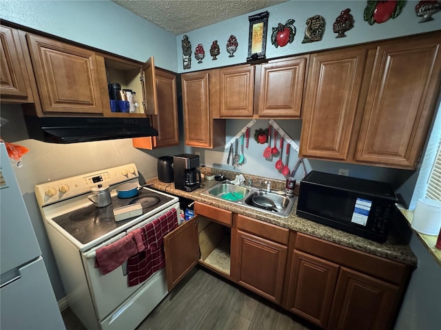 1622 NW 16th St, Ocala, FL 34475 - kitchen featuring electric stove, a sink, a textured ceiling, range hood, and black microwave