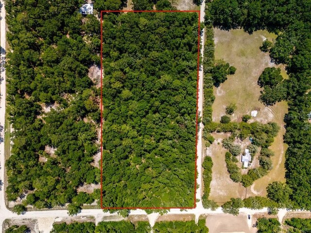 00 NW 102nd Pl, Branford, FL 32008 - photo 6