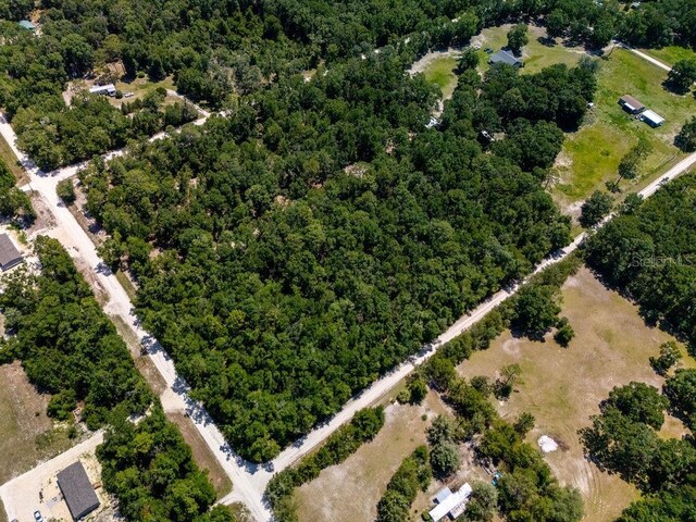 00 NW 102nd Pl, Branford, FL 32008 - photo 9