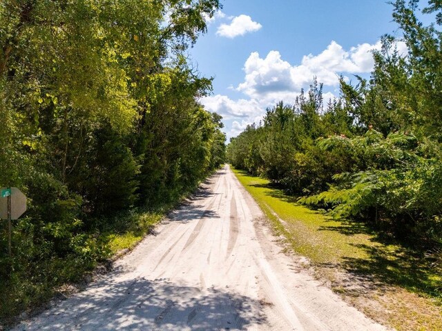00 NW 102nd Pl, Branford, FL 32008 - photo 13