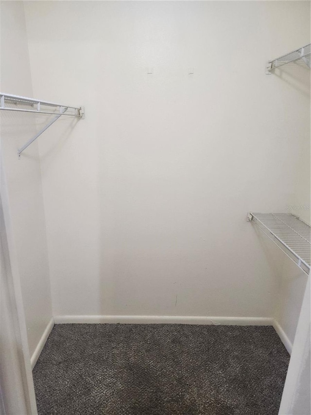 spacious closet with carpet flooring