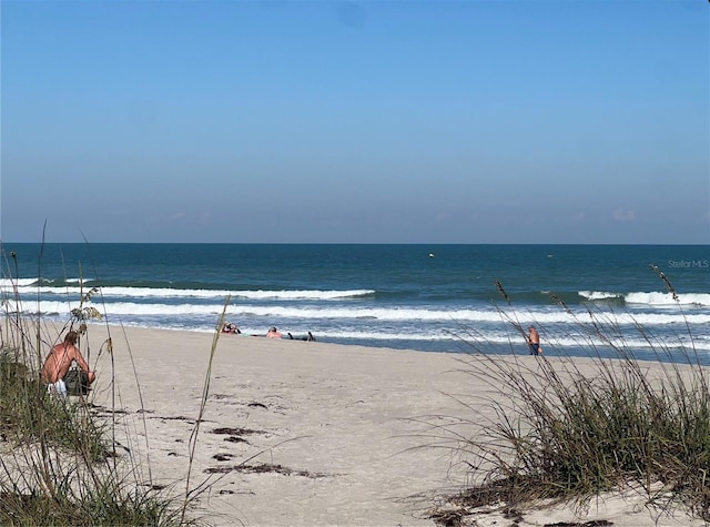 water view featuring a beach view