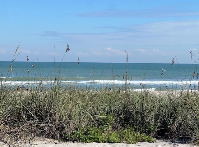 property view of water featuring a beach view