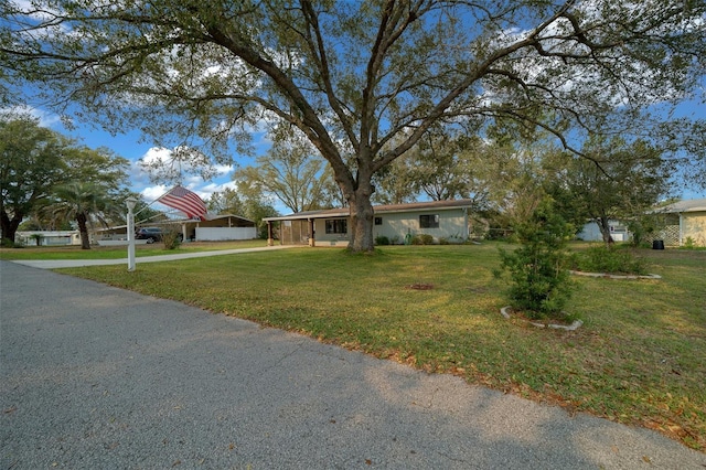 ranch-style house with a front yard