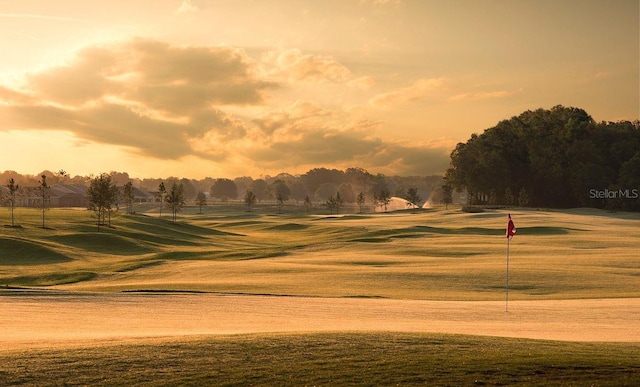 view of community with view of golf course