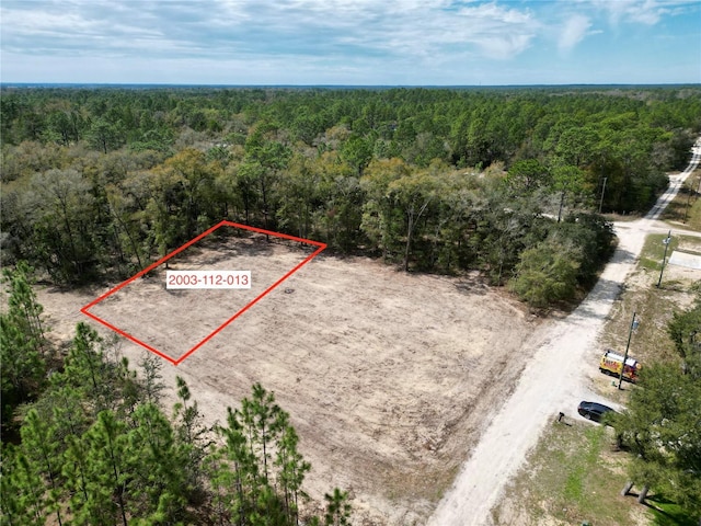 LOT13 SW 156th Ct, Ocala FL, 34481 land for sale