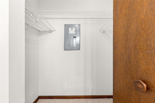 spacious closet with carpet