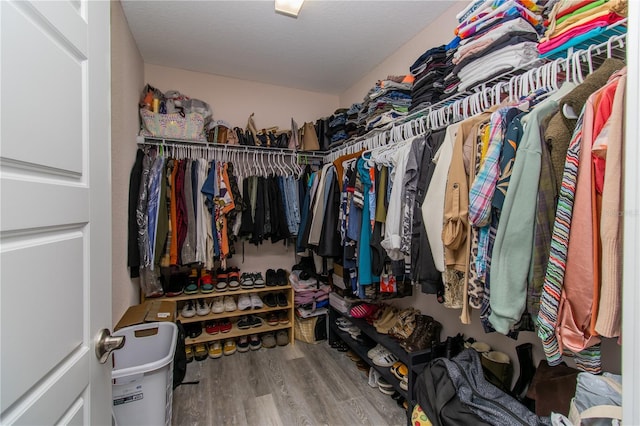 spacious closet featuring wood finished floors