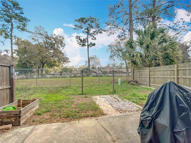 view of yard with a patio area and a fenced backyard