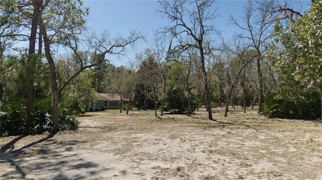 view of local wilderness