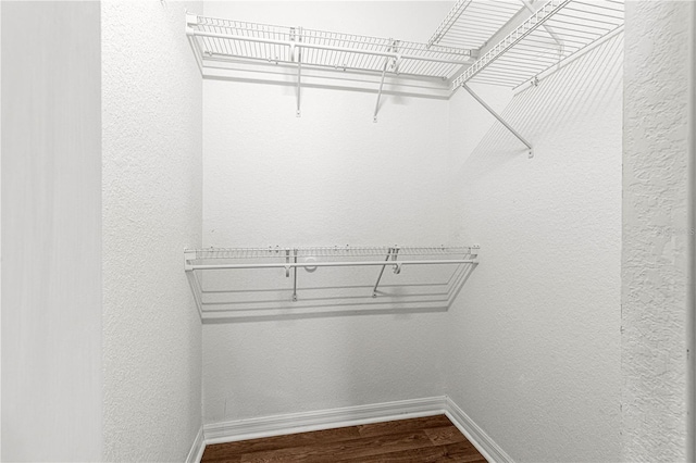 spacious closet with dark wood finished floors