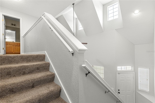 stairs with carpet floors