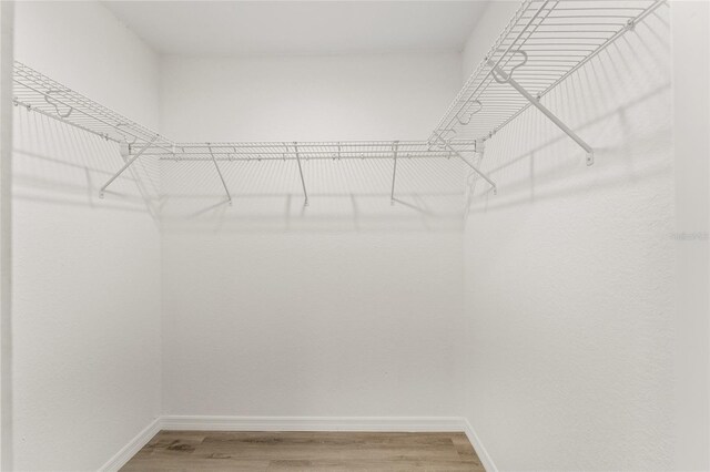 114 Bay Dr, Ocklawaha, FL 32179 - walk in closet with light wood-style floors