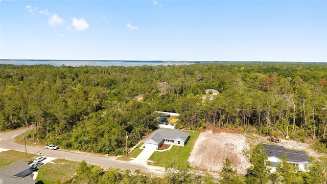 114 Bay Dr, Ocklawaha, FL 32179 - aerial view of a heavily wooded area