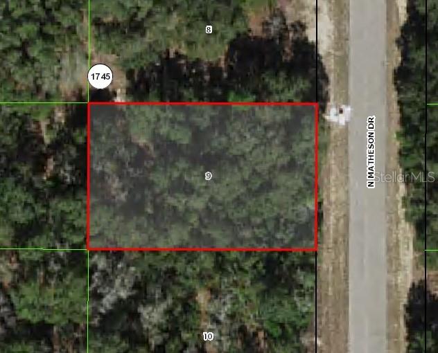 6002 N Matheson Dr, Citrus Springs FL, 34434 land for sale