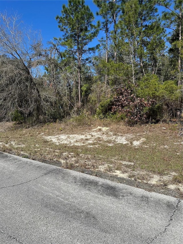 Sw 77 Th Terrace, Ocala FL, 34473 land for sale