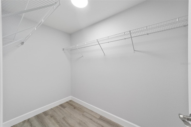 walk in closet featuring light wood-type flooring