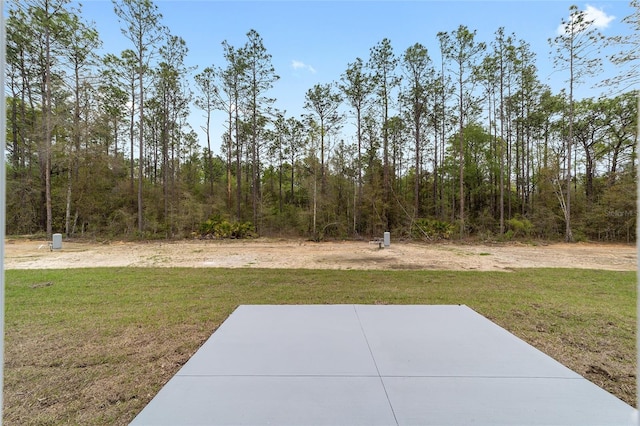 view of yard with a patio area