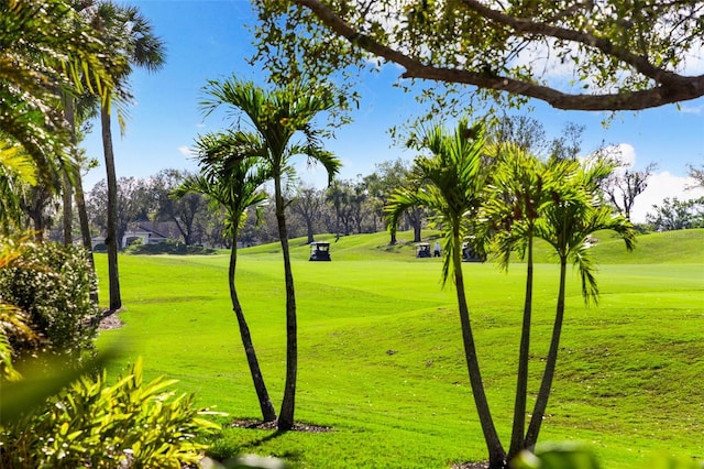 view of community with a yard