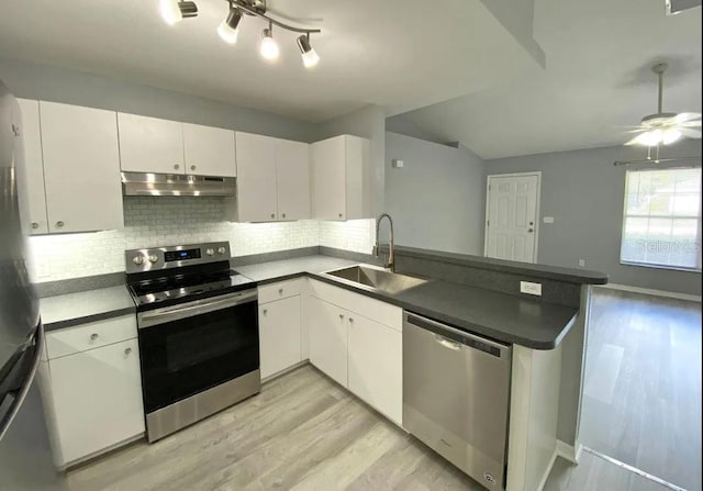 kitchen featuring tasteful backsplash, under cabinet range hood, a peninsula, stainless steel appliances, and a sink